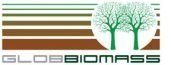 Logo_Globbiomass